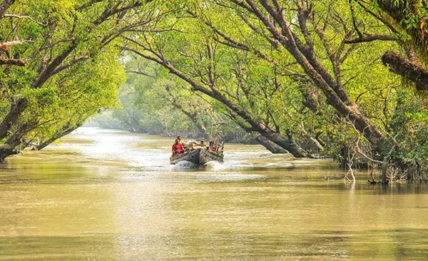 Kolkata 03 Nights + Sunderban 02 Nights